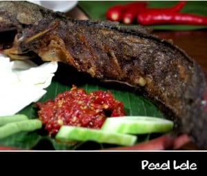 Resep Membuat Pecel Lele Lezat