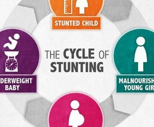 Resep Menu Stunting: Makanan Sehat untuk Pertumbuhan Anak yang Optimal