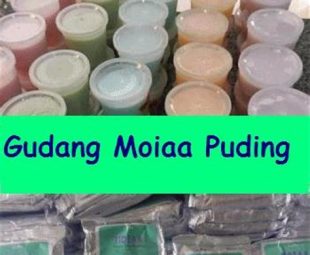 Resep Silky Puding