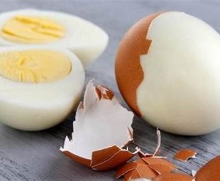 Telur Rebus Sebagai Sumber Protein