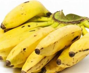 Cara Membuat Pisang Uli Matang