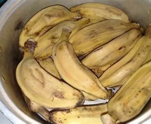 Penyajian Resep Pisang Kepok Kukus