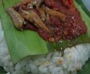 Tips Nasi Kucing