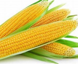 Resep Olahan Jagung Manis untuk Camilan