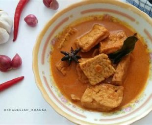 Resep Semur Tahu Tempe Santan