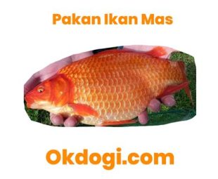 Resep Semur Ikan Mas Khas Sunda