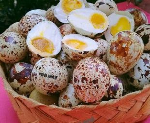 Resep Telur Puyuh Semur