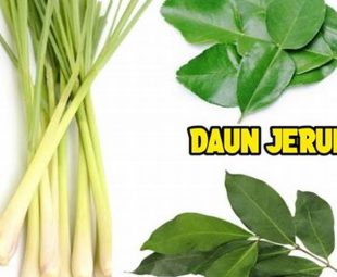 Daun Salam Dan Serai