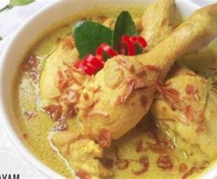 Variasi Resep Opor Ayam